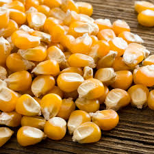Animal Feed Products