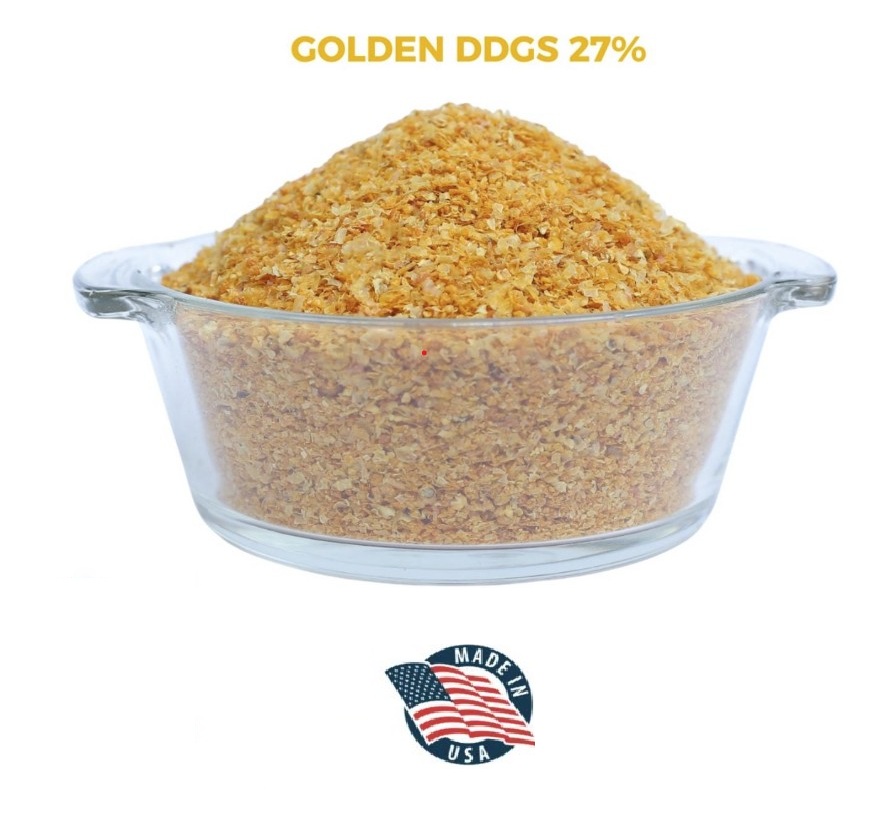 GOLDEN DDGS 27%