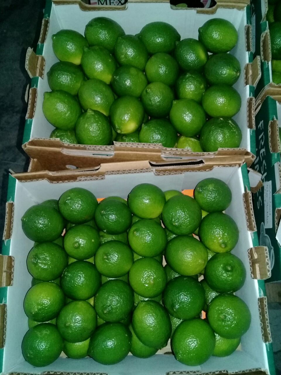 Limes