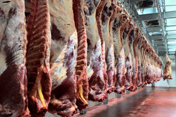 Beef & Pork Products