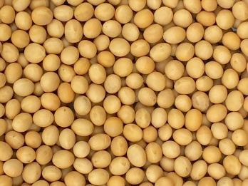 Agricultural commodities